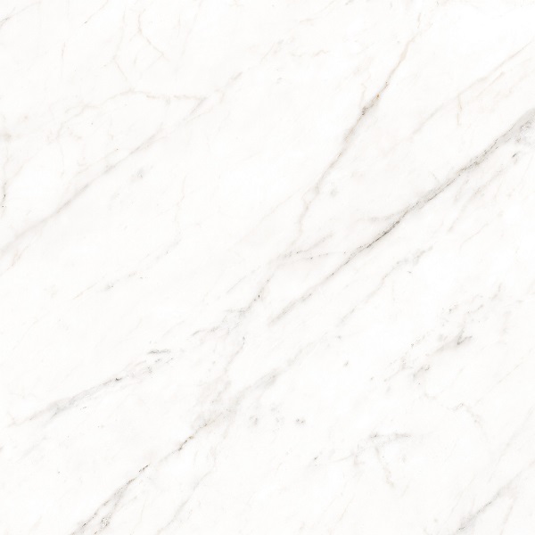 Atlantic white quadra