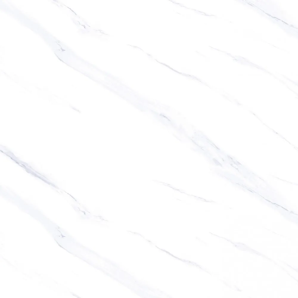 valentinogress_bologn_white_60_x_60-75616-3289_1913-twebp80