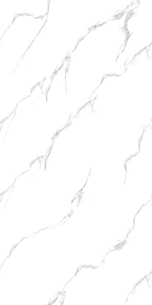 Barner-Concord-60x120-PGC62K003-ILLINOIS WHITE