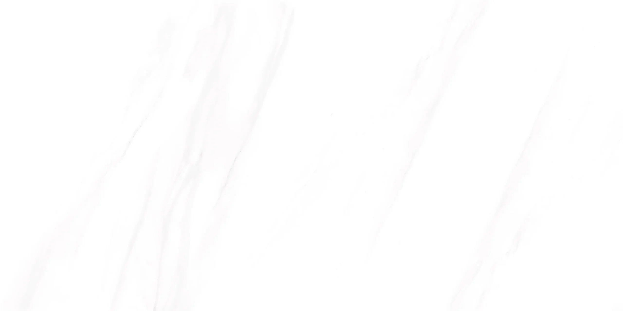 QUINN_WHITE_2